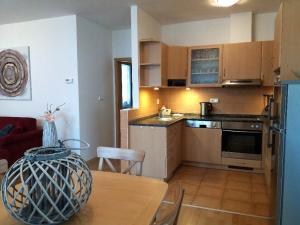 Kuchyň nebo kuchyňský kout v ubytování Apartment Riviera 503-8 Lipno Home