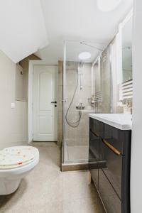 ein Bad mit einer Dusche, einem WC und einem Waschbecken in der Unterkunft Old City Lux 2 in Braşov