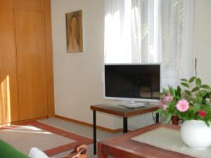 ein Wohnzimmer mit einem TV auf dem Tisch in der Unterkunft Apartment Corallo - Utoring-20 by Interhome in Ascona