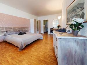 Gallery image of Apartment Double Room Classic-8 by Interhome in Ascona