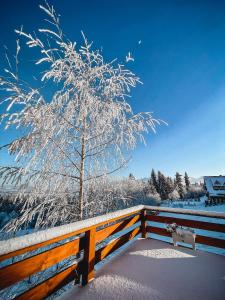 a snow covered tree on a fence with a bench at Willa Pachówka in Bukowina Tatrzańska