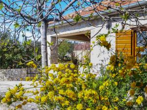 Vonkajšia záhrada v ubytovaní Holiday Home Ceko by Interhome