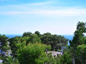 a view of the ocean from a hill with trees at Holiday Home Flamenc by Interhome in Jávea