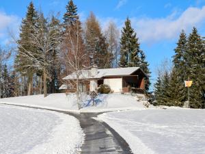 Holiday Home Rustika by Interhome v zimě