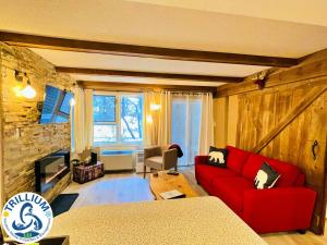 a living room with a red couch and a tv at Rustic Mountainside Chalet in Blue Mountains +23 photos