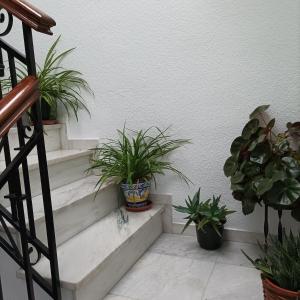 Fotografia z galérie ubytovania Medina Baguh (VFT) v destinácii Priego de Córdoba