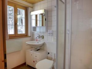 a bathroom with a toilet and a sink and a shower at Chalet Bühlweidli by Ferienlenk in Lenk +27 photos