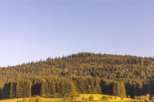 einen Berg mit Bäumen an der Seite in der Unterkunft Apartments Bären in Elzach