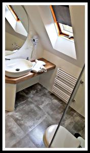 韋特利納的住宿－Leśne Berdo 4，一间带水槽、卫生间和镜子的浴室
