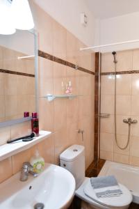 ein Badezimmer mit Waschbecken, Toilette und Dusche in der Unterkunft Haus Despina in Sarti + 83 Fotos