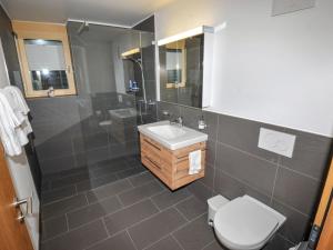 ツェルマットにあるApartment Blauherd by Interhomeのバスルーム(トイレ、洗面台、シャワー付)