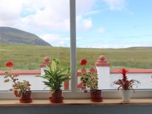 una ventana con macetas en una cornisa en Holiday Home Flo Anndra by Interhome, en Kilmaluag