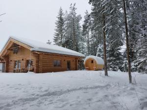 Ferienhaus - Chalet - Lechtraum during the winter