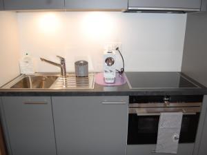 encimera de cocina con fregadero y batidora en Studio Rosablanche D13 by Interhome, en Siviez