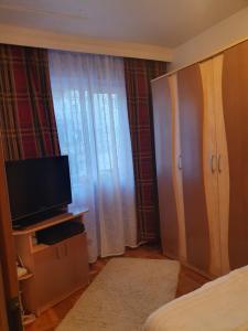 a hotel room with a television and a bed at Apartament cu trei camere in Băile Herculane