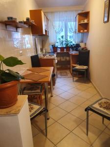 a kitchen and dining room with a table and chairs at Apartament cu trei camere in Băile Herculane