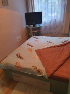 a bedroom with a bed with a television and a window at Apartament cu trei camere in Băile Herculane +1 photo