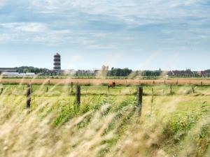 MispelburgにあるApartment Zen aan Zeeの遠く馬のいる草原