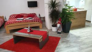 a living room with a bed and a red rug at Apartments Akacijev Izvir in Miklavž na Dravskem Polju