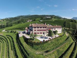 an aerial view of a house in a vineyard at Agriturismo Althea in Vittorio Veneto