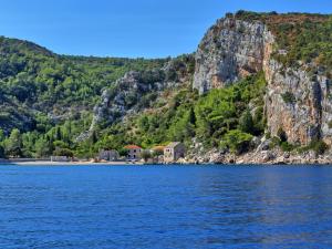 een klein eiland in het midden van een groot waterlichaam bij Apartment Cico-5 by Interhome in Selca kod Bogomolja