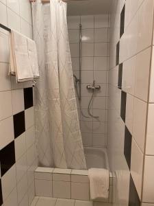 y baño con ducha y cortina de ducha. en Private Studio Apartment in Bremgarten, en Bremgarten