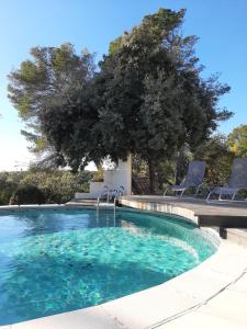 una piscina con 2 sillas y un árbol en LE LAVANDIN, en Flayosc