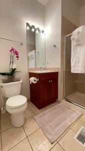 芝加哥的住宿－Amazing 3BR 3 BA Property in Chicago，浴室配有卫生间、淋浴和盥洗盆。