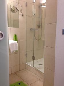 W łazience znajduje się prysznic ze szklanymi drzwiami. w obiekcie Flörsbacher Hof w mieście Flörsbachtal