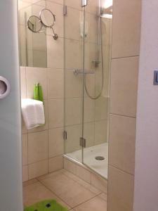 a shower with a glass door in a bathroom at Flörsbacher Hof in Flörsbachtal