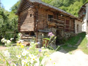 una cabaña de madera con flores delante en Holiday Home Rudico OG by Interhome, en Semione
