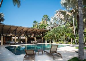 a swimming pool with chairs and palm trees at Hotel La Finca Buritaca by DOT Premium in Buritaca