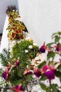 Foto sihtkohas Cuernavaca asuva majutusasutuse LOFTS en Cuernavaca con alberca climatizada galeriist