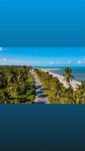 widok na plażę z palmami i ocean w obiekcie Peroba Mar Kitnets w mieście Maragogi