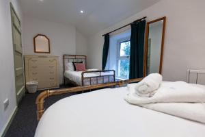 a bedroom with two beds and a mirror at Aberdulas Cottage in the Dyfi Valley Wales in Machynlleth