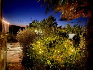 un jardín por la noche con luces en las plantas en LOFT-Beach-apartments RATKO, en Novi Vinodolski