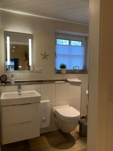 a bathroom with a toilet and a sink and a mirror at Strandläufer in Schönhagen +34 photos