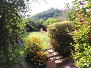 Naturlandschaft in der Nähe der Pension