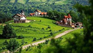 uma aldeia numa colina verde com casas e uma estrada em Alpine Castle Hotel em Dilijan