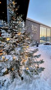 Ringstad Resort v zimě
