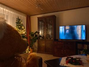 a living room with a christmas tree and a flat screen tv at Ferienwohnung Zur Glewe in Neustadt-Glewe