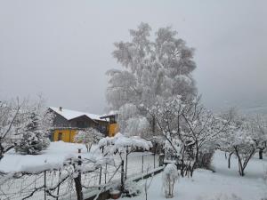 Foto dalla galleria di La maison de Chantal a Fenis