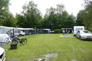 een groep tenten en auto's geparkeerd in een veld bij Lege Kampeerplaats, Camping Alkenhaer in Appelscha