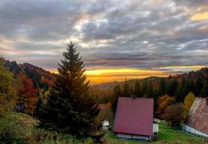 Gallery image of Apartman Tanja in Kopaonik