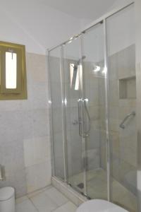 a bathroom with a shower stall and a toilet at Artemis Hotel in Antiparos