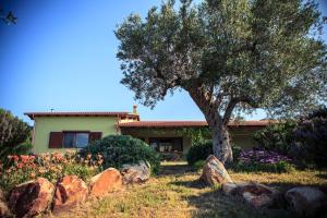 a house with a tree in front of a yard at Agriturismo Il Ginepro in Fluminimaggiore