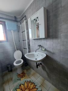 een badkamer met een toilet en een wastafel bij Domaćinstvo Sindžirević in Nova Varoš