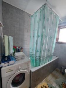 a bathroom with a washing machine and a shower curtain at Domaćinstvo Sindžirević in Nova Varoš