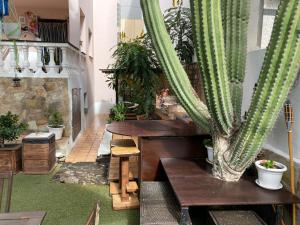 A seating area at Corralejo Garden&Relax