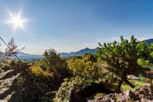 a tree on a hill with the sun in the sky at Casa Jacobina Tepoztlán in Tepoztlán